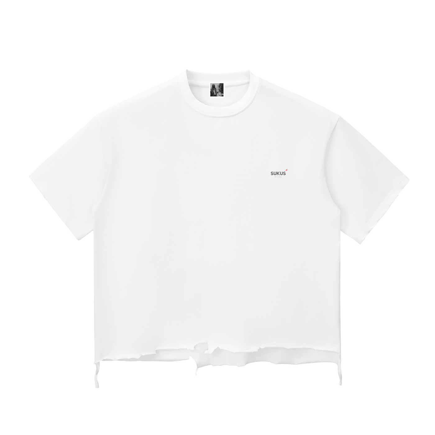 Snow Wash Raw-Hem Boxy T-shirt